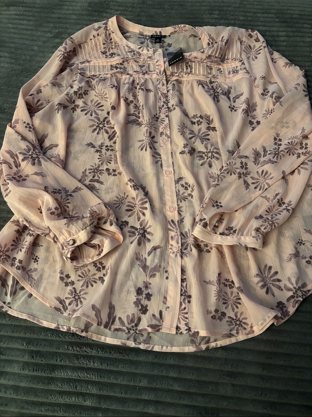 NWT Torrid Sheer Button Up Blouse